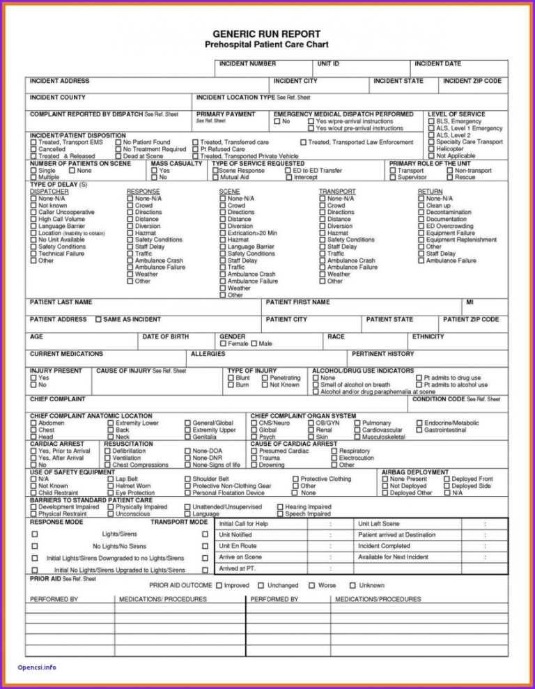 Report Examples Sample Ems Patient Care Reports 17 Chart In Patient