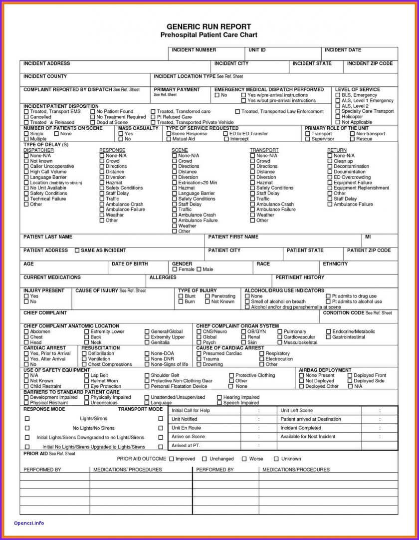 Report Examples Sample Ems Patient Care Reports 17 Chart In Patient Care Report Template