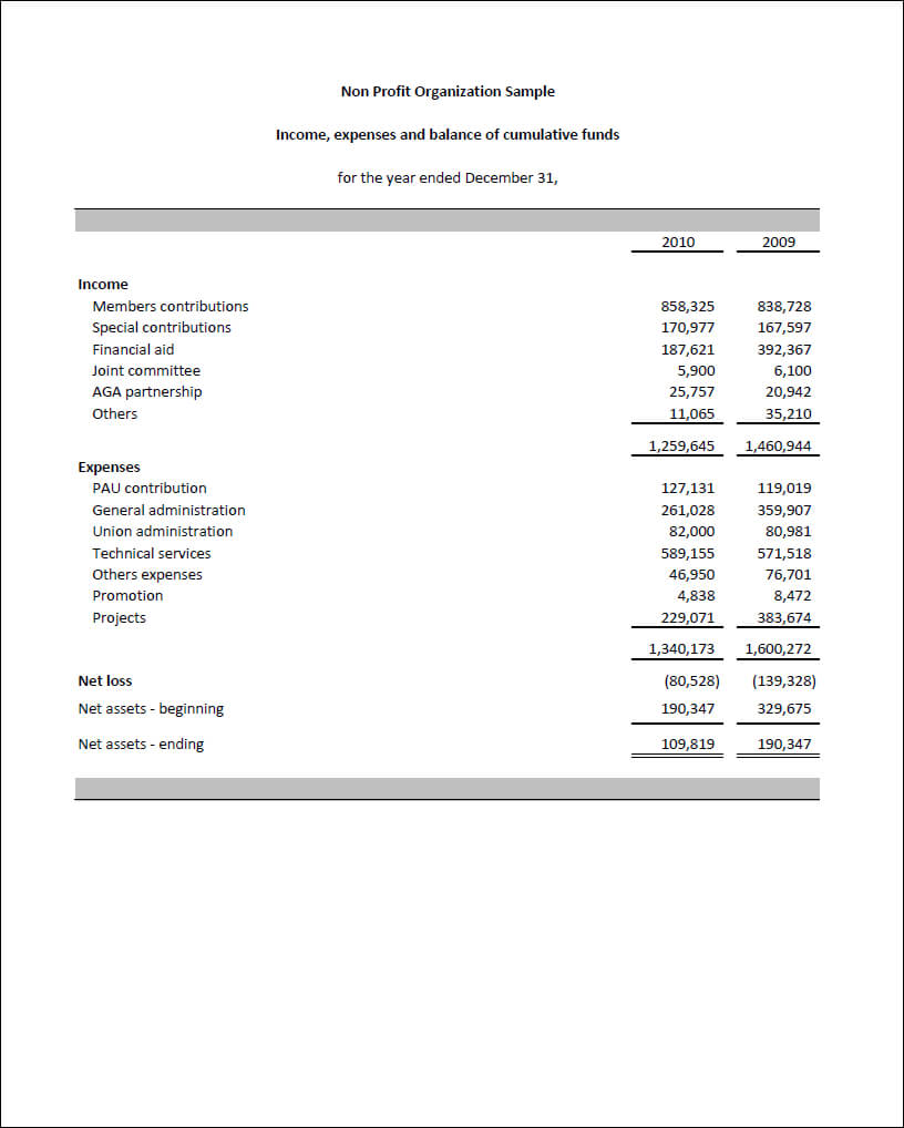 Sample Of Financial Report For Non Profit Organization In Non Profit Monthly Financial Report Template