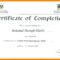 Training Certificate Sample Word Computer Template Doc Free Regarding Training Certificate Template Word Format