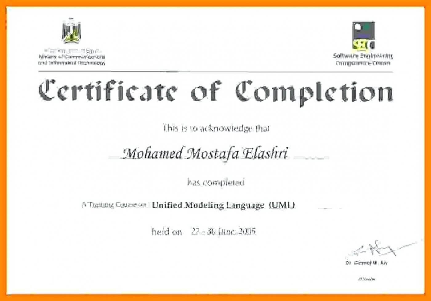 Training Certificate Sample Word Computer Template Doc Free Regarding Training Certificate Template Word Format