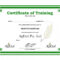 Training Certificate Template 300Dpi Epilepsy Action Free Pertaining To Training Certificate Template Word Format