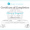 Training Completion Certificate Sample – Tunu.redmini.co Pertaining To Training Certificate Template Word Format