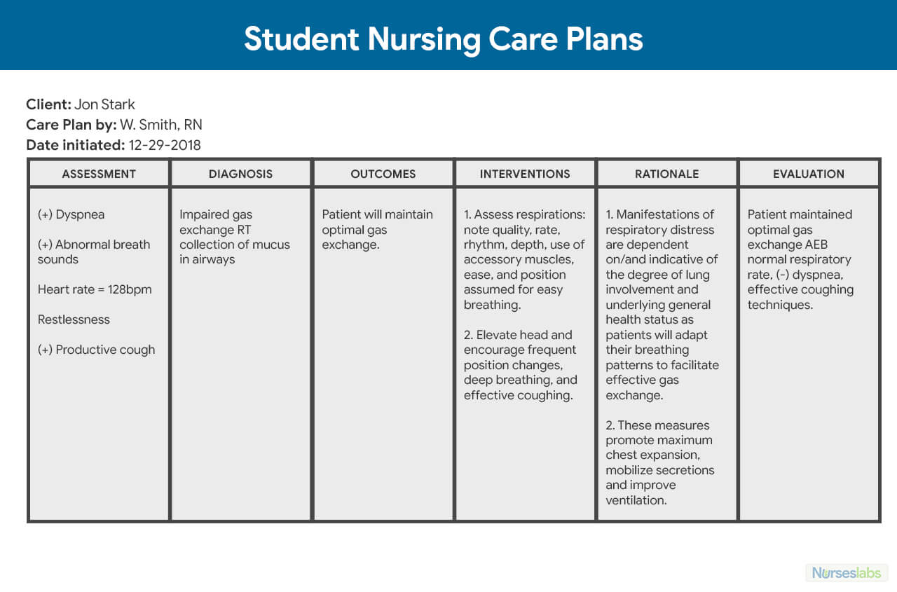 Unbelievable Nursing Care Plan Template Ideas Microsoft Word Within Nursing Care Plan Template Word