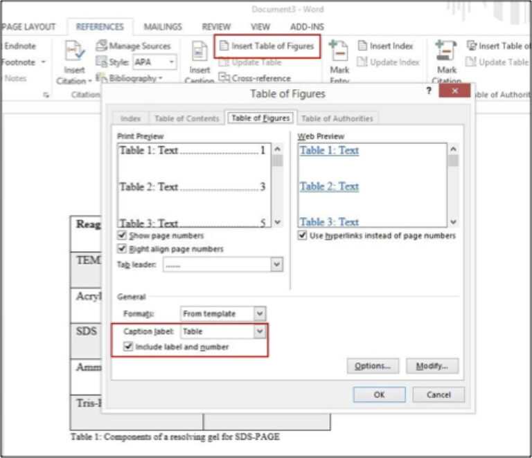 table of contents word template for thesis