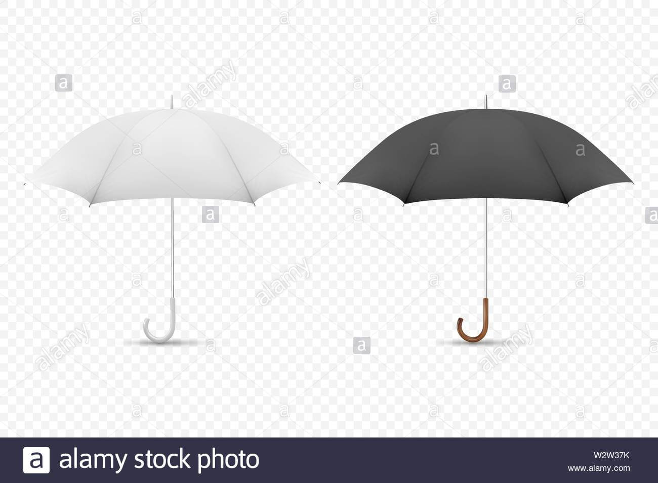 Vector 3D Realistic Render White And Black Blank Umbrella With Blank Umbrella Template